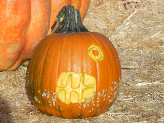Bitten, Nipomo Pumpkin Patch best carving idea